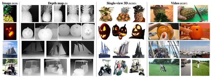 Teaser figure for Omnivore: A Single Model for Many Visual Modalities